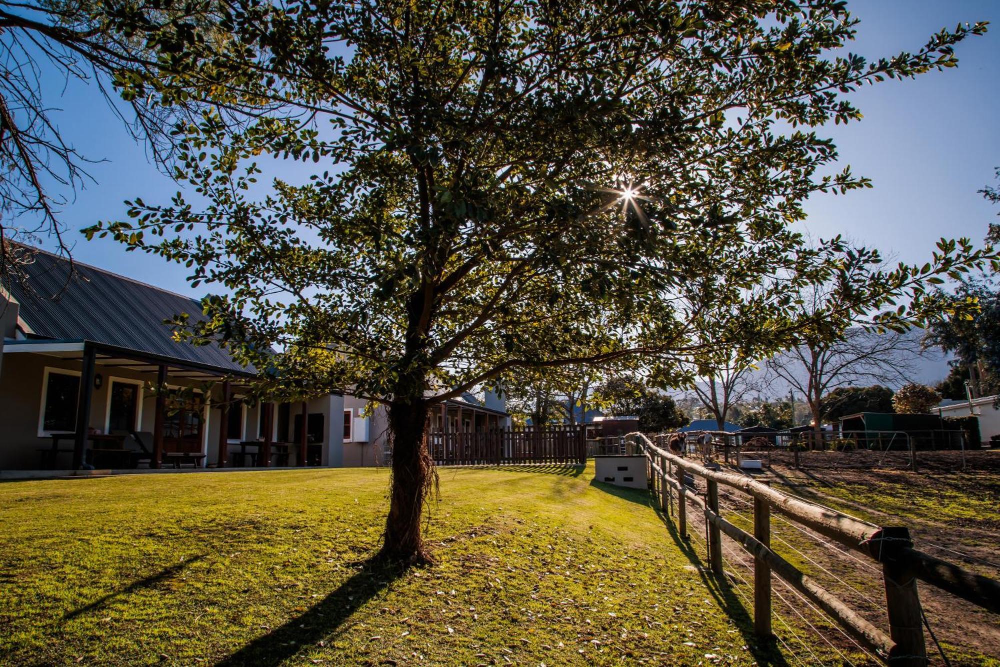Dolittle Cottages Swellendam Exterior foto