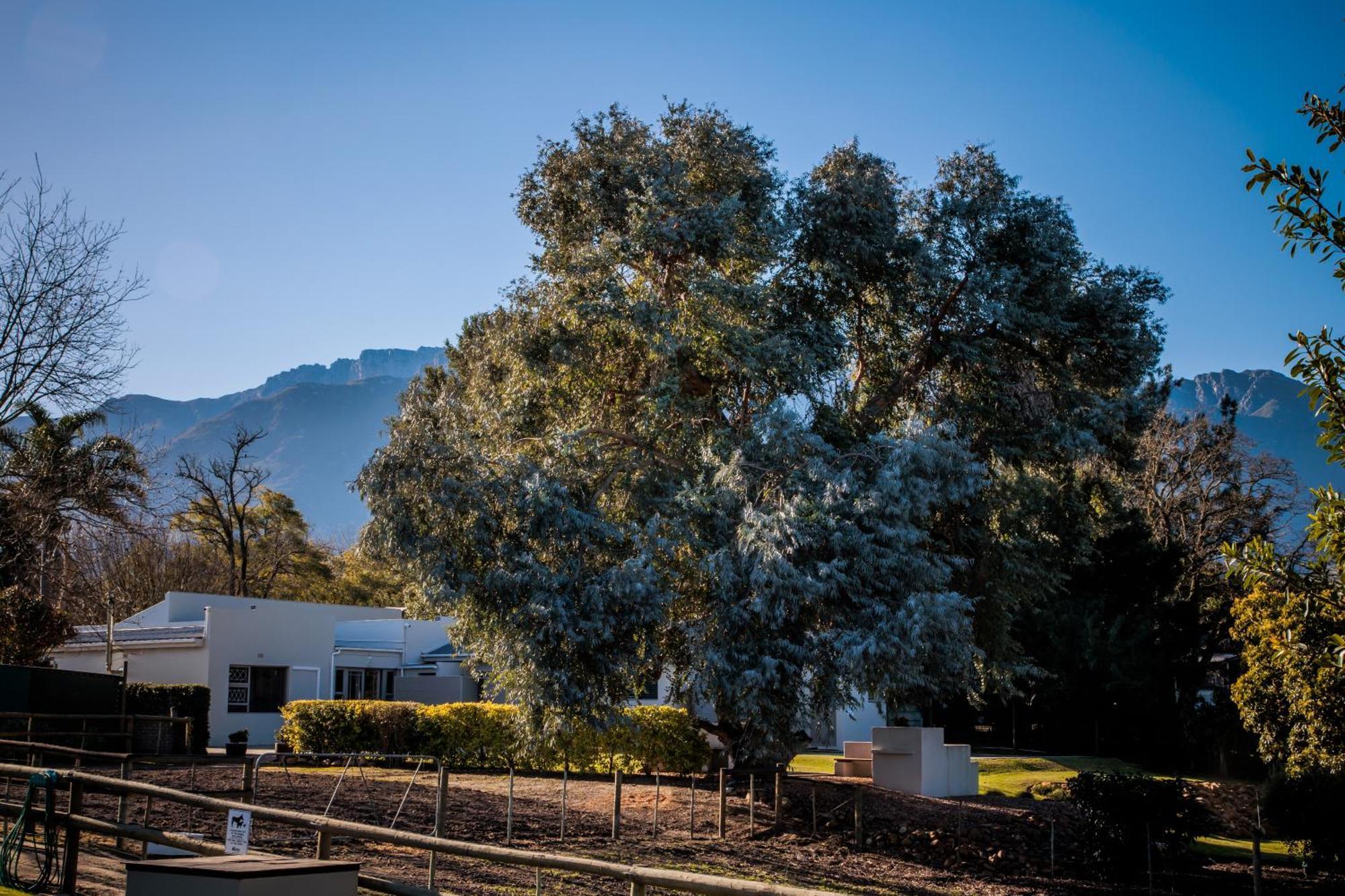Dolittle Cottages Swellendam Exterior foto