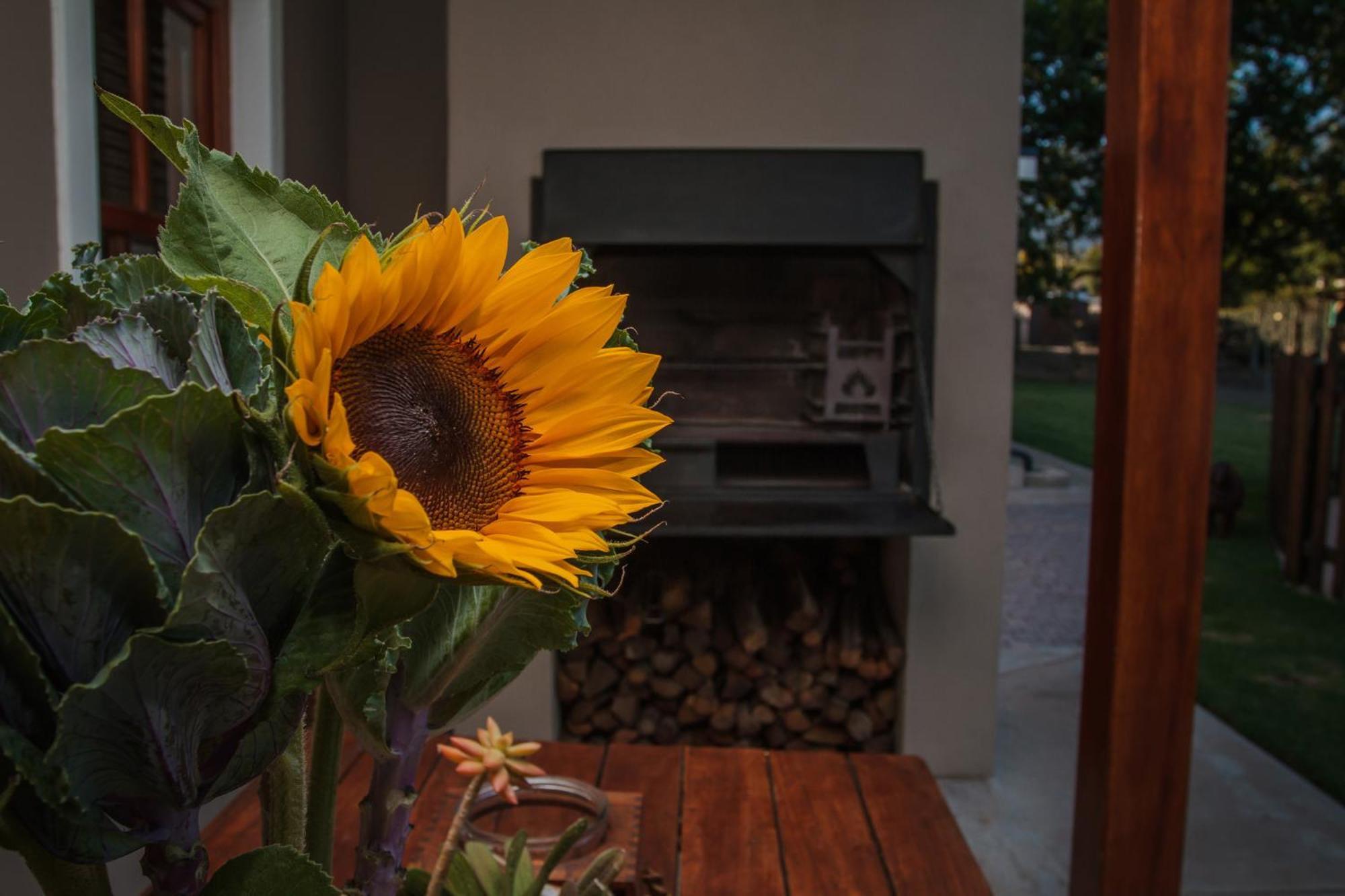 Dolittle Cottages Swellendam Zimmer foto